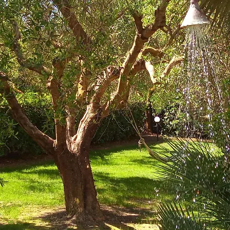 Coral Riviera Sardinia & Villa Alghero