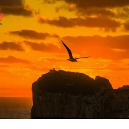 Coral Riviera Sardinia & *